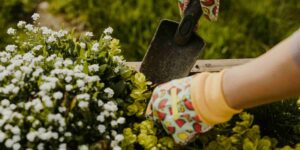 Gardening for Your Mental Health