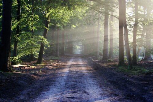 Healing the Heart: Affair Recovery 1