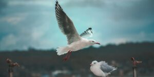 Negative Body Image: What It Is and Steps Toward Healing