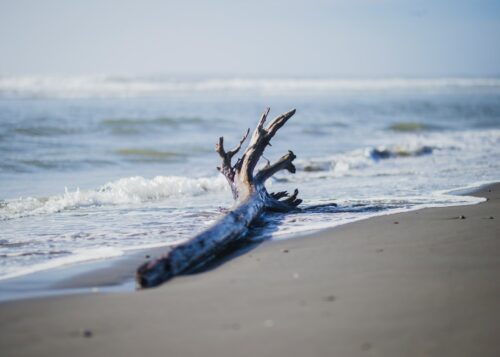 What is the Source of Worry? Does Constant Worrying Mean Something is Wrong? 2