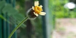 Parental Codependency: How to Identify and Find Healing from It 4